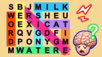 Fillwords Word Search Puzzle