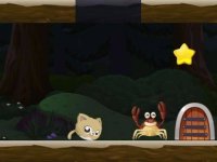 Feline Star Path Puzzle