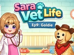Pet Care Puzzle Adventure