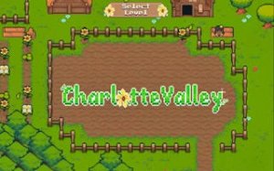 Charlotte Valley Flower Field Puzzle