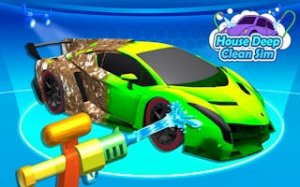 Home Deep Clean Relaxation Game