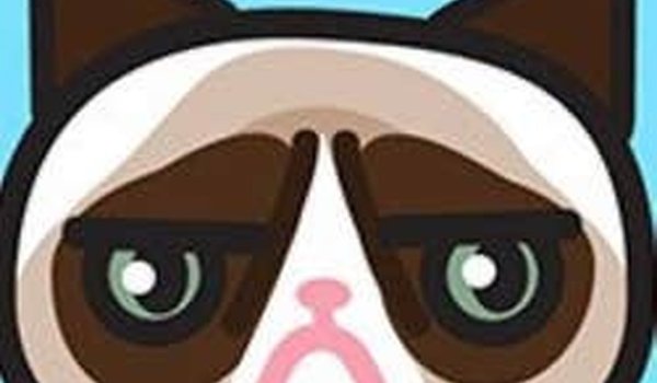 Cat Personality Match Quiz